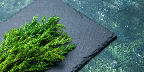 Les Bienfaits de la Tisane d'Aneth