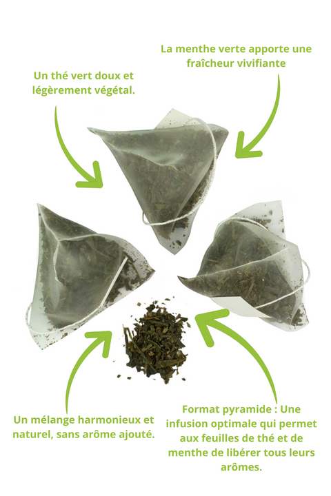 Thé Vert Bio Menthe Verte en sachets pyramides – Infusion premium composée de thé vert China Sencha et de menthe verte (21%). Format pyramide permettant une diffusion optimale des arômes. Saveur douce, végétale et rafraîchissante, idéale pour une dégustation chaude ou glacée. Thé bio, sans arôme ajouté.