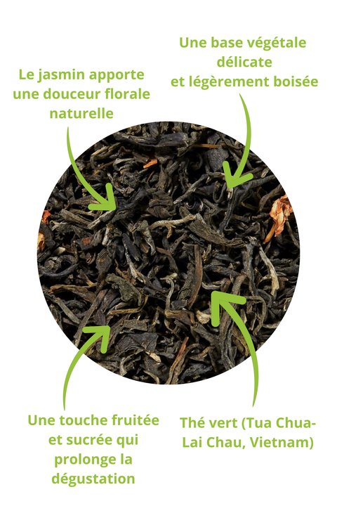 Gros plan du Thé Vert Jasmin Bio (Fleurs de Jasmin) – Feuilles de thé vert Tua Chua-Lai Chau du Vietnam, délicatement parfumées aux fleurs de jasmin par un processus de scenting naturel. Notes végétales boisées, douceur florale du jasmin et touche fruitée sucrée pour une dégustation raffinée. Infusion bio idéale pour un moment de détente