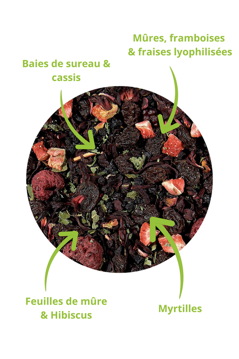 Infusion Fruitée Papothé : Ce mélange unique capture l’essence des petits fruits sauvages que l’on cueille au détour des sentiers : cassis, mûres, framboises et fraises lyophilisées, sublimés par la douceur du raisin sec et la profondeur des baies de sureau. Associée à l’hibiscus et aux feuilles de mûre, cette infusion est une véritable invitation à ralentir et à savourer l’instant présent.