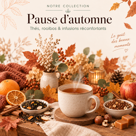 Pause d’automne 🍂