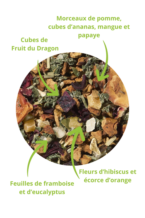 Infusion Ananas Mangue Kiwi (Jardin des délices)