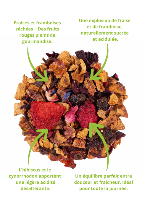 Infusion Fraise Framboise 100g - Mélange fruité et rafraîchissant. Visuel détaillé des ingrédients : fraises et framboises séchées pour une touche sucrée, hibiscus et cynorrhodon pour une légère acidité désaltérante. Une explosion de saveurs équilibrée entre douceur et fraîcheur. Idéal pour une consommation chaude ou glacée. Produit premium disponible sur Papothé.
