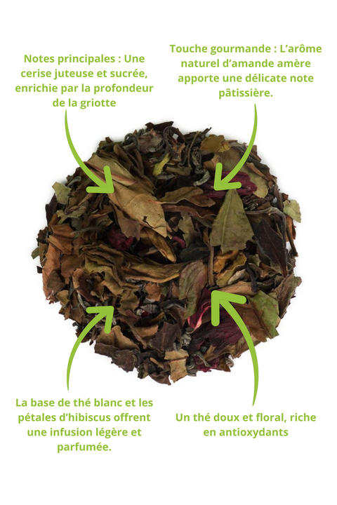 Un visuel détaillé du Thé Blanc Bio Cerise Amande (Éveil Gourmand), mettant en avant les ingrédients de ce mélange raffiné. Les feuilles de thé blanc Pai Mu Tan et de thé vert China Chun Mee offrent une base légère et florale, sublimée par des touches de cerise juteuse et sucrée, enrichies par la profondeur de la griotte. L’ajout d’hibiscus apporte une belle couleur et une touche acidulée, tandis que l’arôme naturel d’amande amère confère une note pâtissière délicate. Ce thé, riche en antioxydants, est idéa