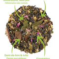 Thé Détox Ligne et Vitalité – Infusion bien-être bio avec thé vert China Chun Mee, maté vert, ortie, gingembre, dent-de-lion et tulsi. Mélange premium aux propriétés drainantes et énergisantes, idéal pour favoriser la digestion et l'équilibre naturel du corps. Photo montrant les ingrédients naturels et leurs bienfaits.