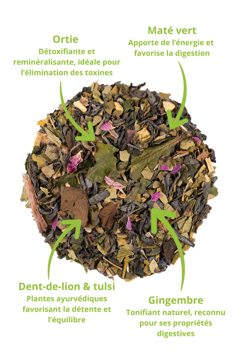 Thé Détox Ligne et Vitalité – Infusion bien-être bio avec thé vert China Chun Mee, maté vert, ortie, gingembre, dent-de-lion et tulsi. Mélange premium aux propriétés drainantes et énergisantes, idéal pour favoriser la digestion et l'équilibre naturel du corps. Photo montrant les ingrédients naturels et leurs bienfaits.