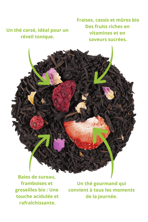 Thé Noir Bio Baies Sauvages en vrac, mélange premium d’Assam bio et de fruits rouges. Infusion corsée et fruitée avec fraises, cassis, mûres, framboises et groseilles. Riche en antioxydants et idéale pour une dégustation gourmande à tout moment de la journée.