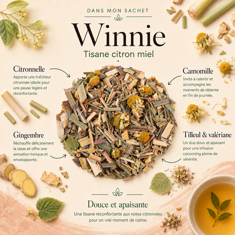ans mon sachet Winnie Papothé, une tisane citron miel douce et réconfortante avec citronnelle, gingembre, camomille, tilleul et valériane pour une pause apaisante.
