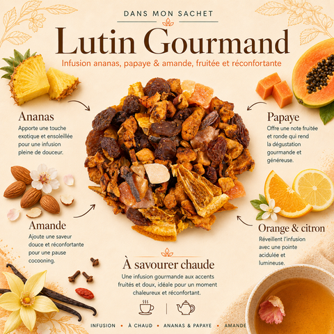Dans mon sachet Infusion Lutin Gourmand Papothé, mélange fruité ananas papaye amande avec agrumes, parfait pour une pause chaude gourmande et réconfortante sans théine.