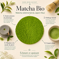 Matcha Bio cérémonial du Japon Hisui Papothé, une poudre vert jade ultra-fine pour préparer un rituel énergisant, doux et apaisant sans amertume.
