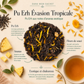 Image Dans mon sachet du Pu Erh Évasion Tropicale Papothé avec ananas et fleurs de souci, idéal pour une pause thé fruitée, chaleureuse et dépaysante.
