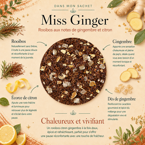 Rooibos Miss Ginger Papothé au citron et gingembre, une infusion sans théine idéale pour une pause chaude, réconfortante et vivifiante à tout moment de la journée.