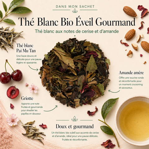 Thé Blanc Bio Éveil Gourmand Papothé, un thé blanc cerise amande doux et fruité, idéal pour une pause gourmande, légère et réconfortante.