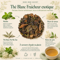 Infographie Dans mon sachet du Thé Blanc Fraicheur exotique Papothé, un thé blanc floral à la menthe et aux fleurs de sureau pour une boisson douce, fraîche et désaltérante.
