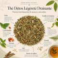 Composition du Thé Détox Légèreté Drainante Papothé avec ortie, bouleau, prêle, fenouil et verveine, une infusion pensée pour une pause légère après les repas.