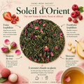 Infographie Dans mon sachet du Thé Vert Soleil d’Orient Papothé, un thé vert fraise litchi floral et délicat avec fraise, framboise, poire et boutons de rose, idéal chaud ou glacé pour une pause fruitée douce et rafraîchissante.