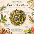Tisane bio Sea Zest and Sun Papothé au romarin, thym et citron, une infusion fraîche et aromatique pour remplacer une boisson classique par une pause végétale et lumineuse.