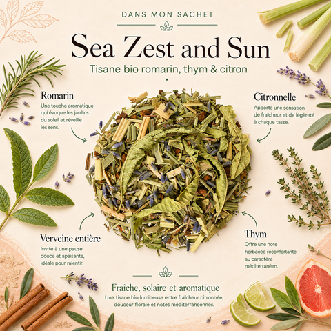 Tisane bio Sea Zest and Sun Papothé au romarin, thym et citron, une infusion fraîche et aromatique pour remplacer une boisson classique par une pause végétale et lumineuse.